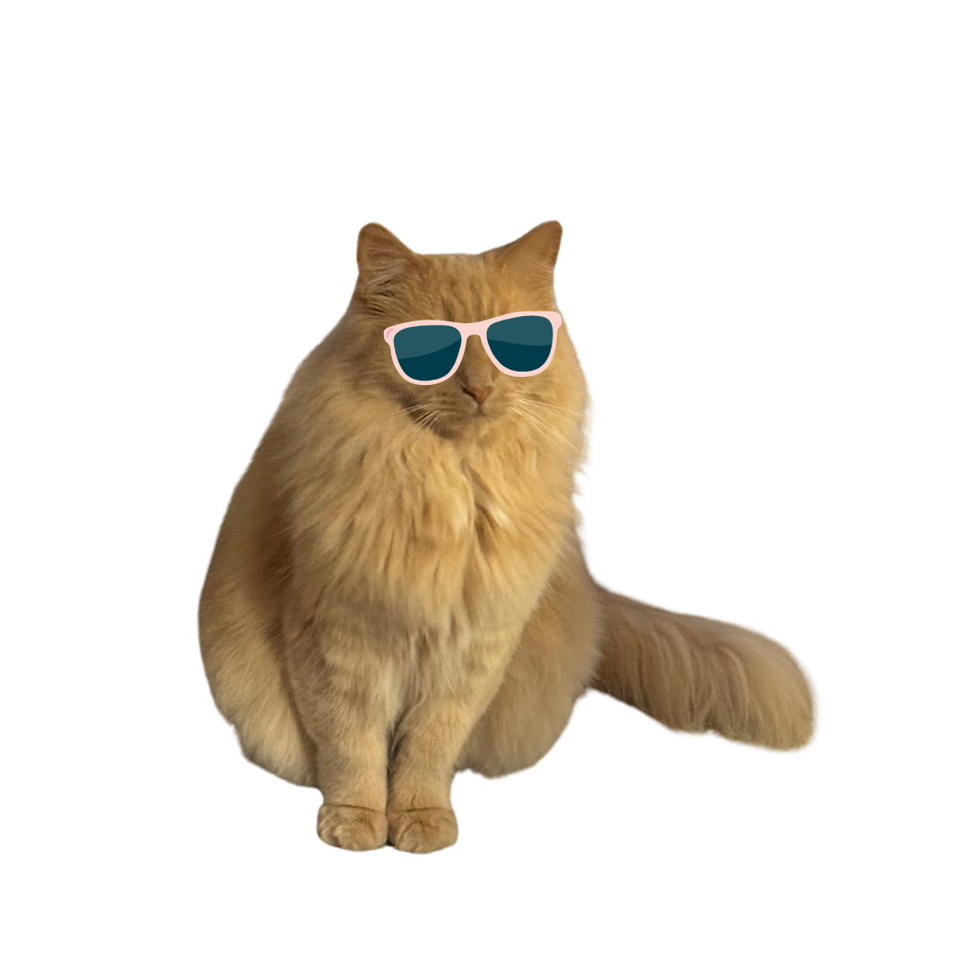Rjómi